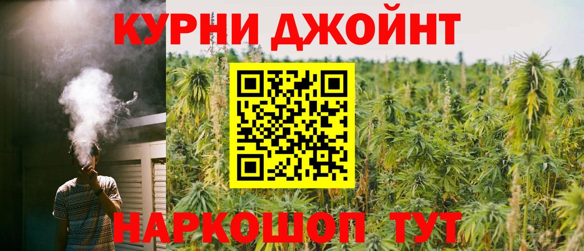Бошки Шишки планчик Кстово